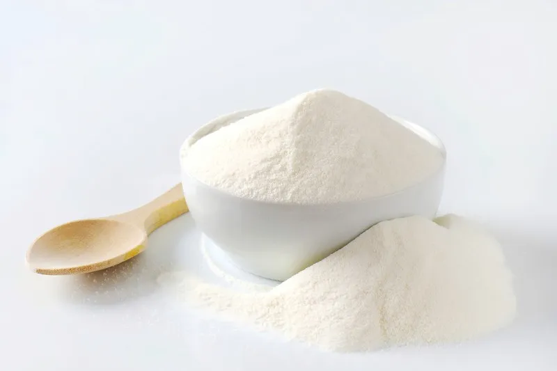 plant protein power